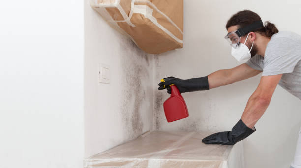 Professional Crawl Space Mold Removal technician working in Church Hill, MD